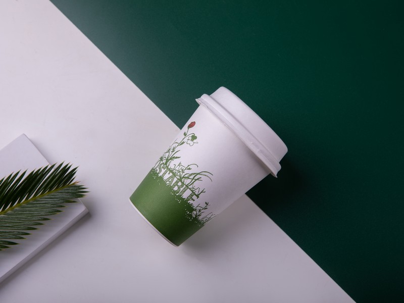 Water-based Paper Cup&Soup Container